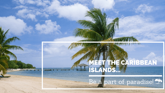 meet caribbean islands