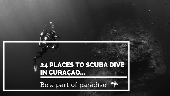 24 places tu scuba dive in curaçaco